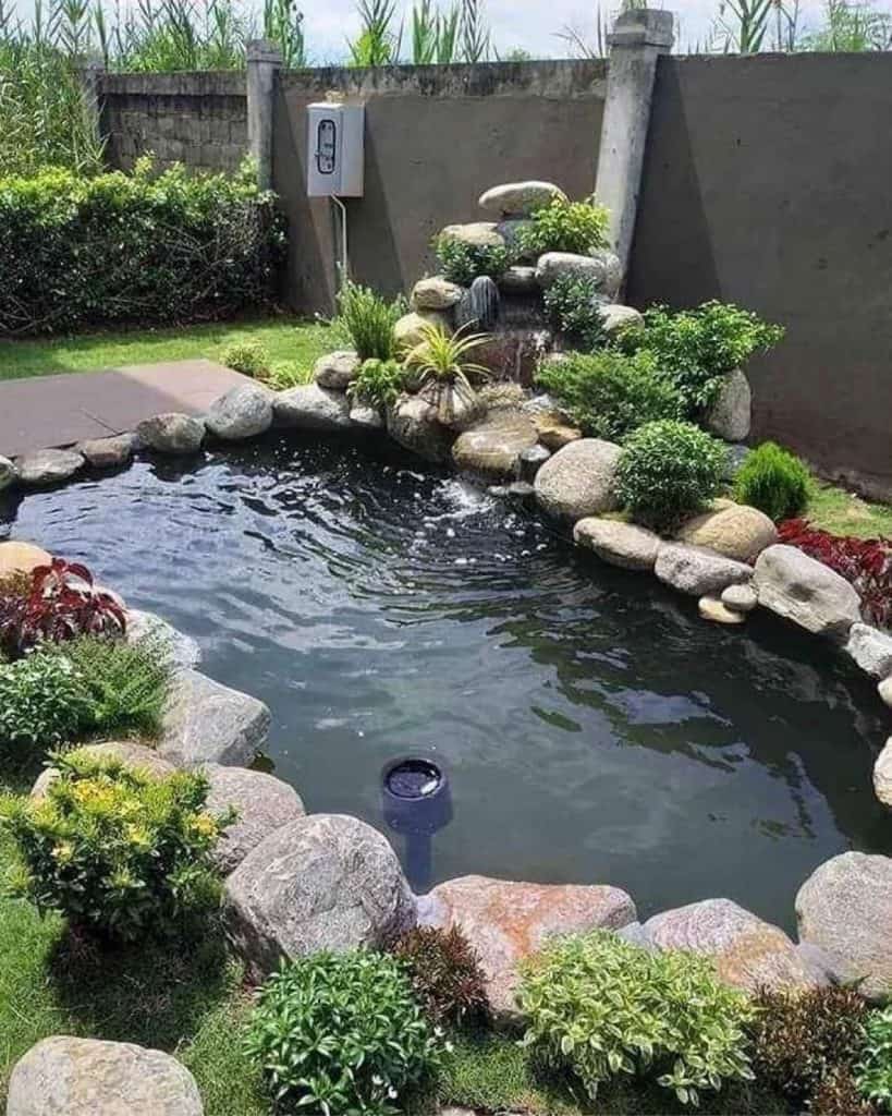 A_Charming_Pond_with_Rocks_and_Plants_En_8