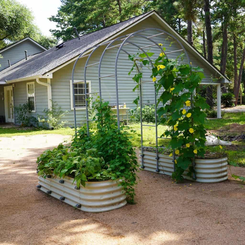 A_House_with_Green_Siding_and_Metal_Rais_