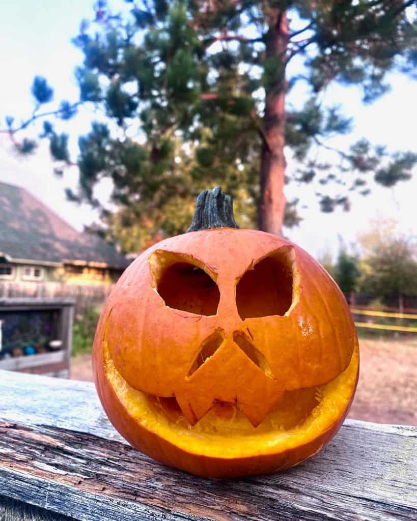 Evil_Grinning_Jack_O'_Lantern_on_a_Woode_