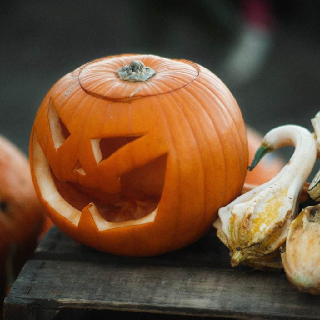 Festive_Pumpkin_Arrangement_for_Autumn_D_