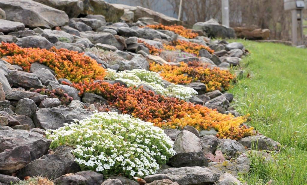 Low_Maintenance_Small_Rock_Garden_Idea__8