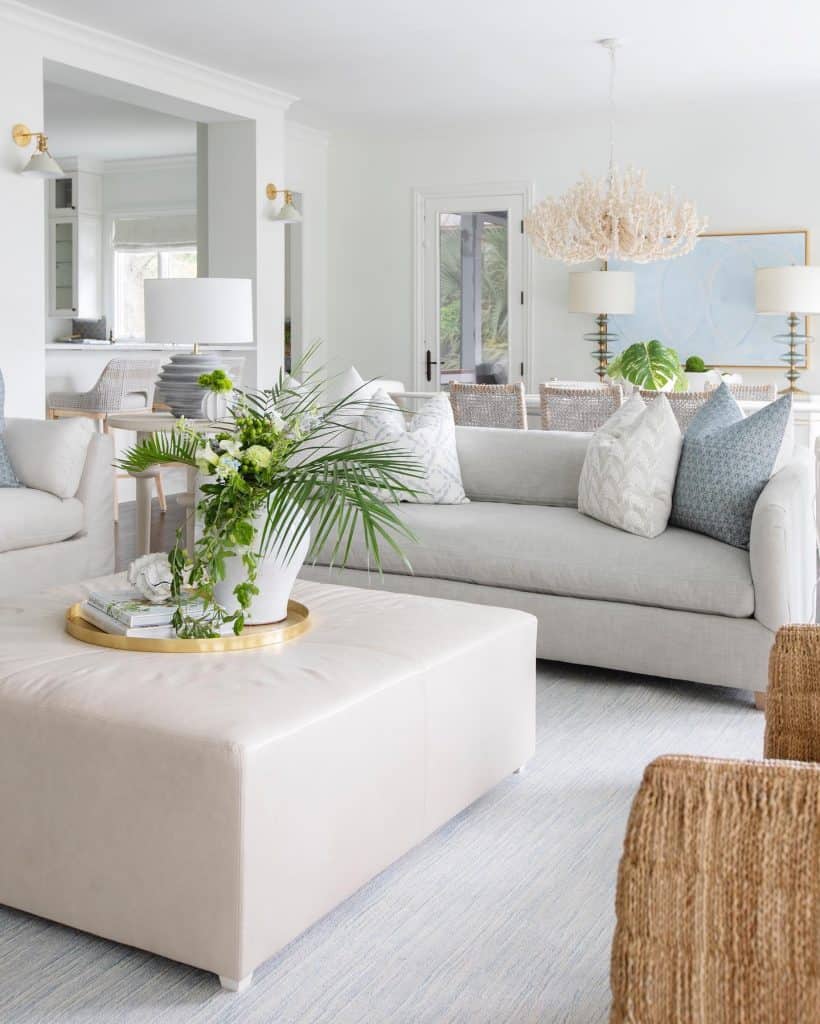 Modern_Coastal_Living_Room_with_Gray_Cou_2