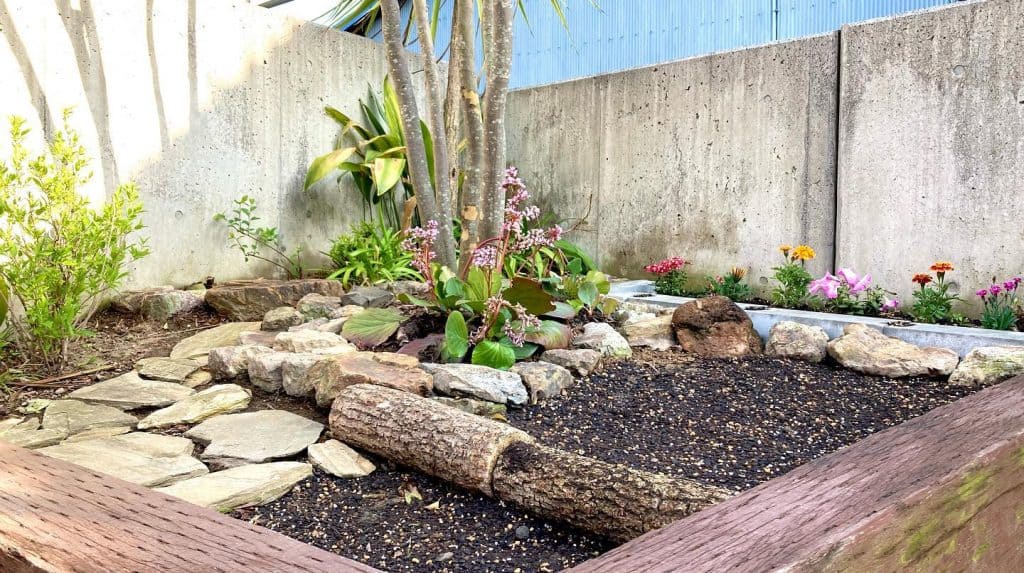 Serene_Mini_Rock_Garden_With_Ornamental__8