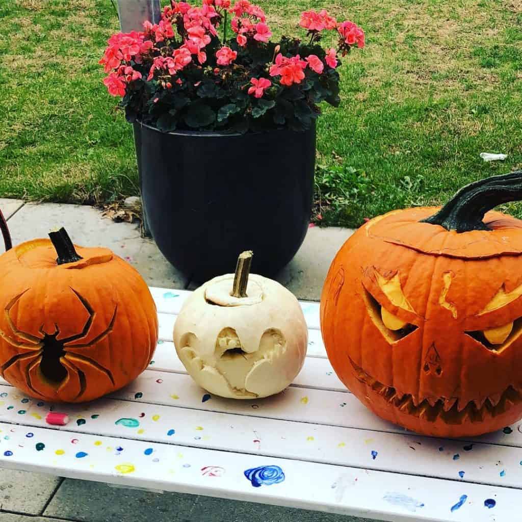 Trio_of_Spooky_Pumpkins_and_Potted_Plant_