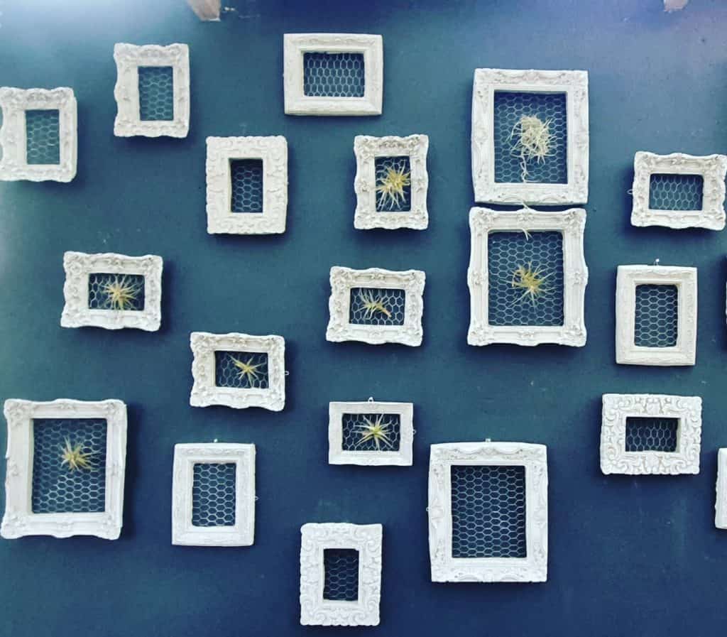 frame_wall_decor_1