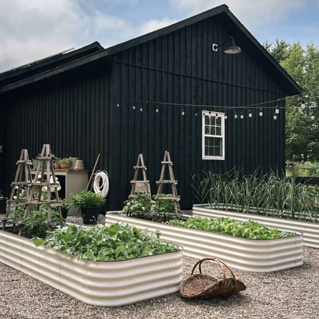 raised garden bed ideas