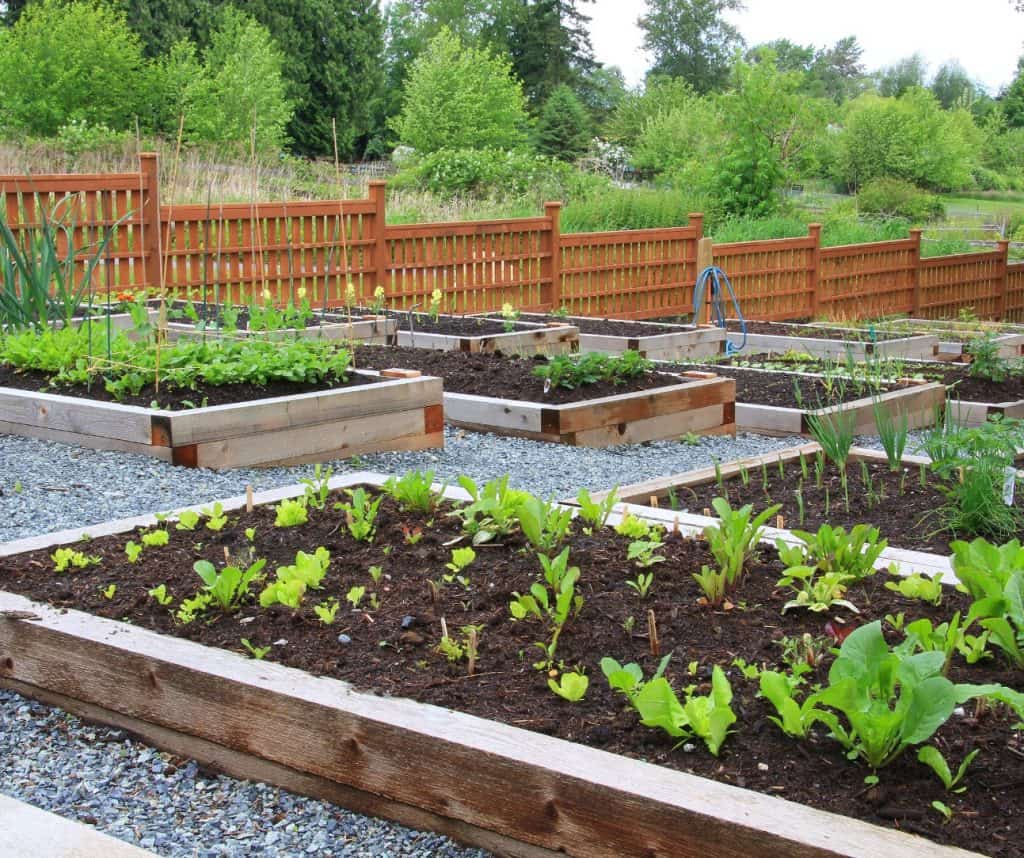 garden_raised_bed_ideas_