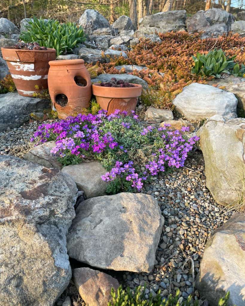 modern_rock_garden_ideas_8