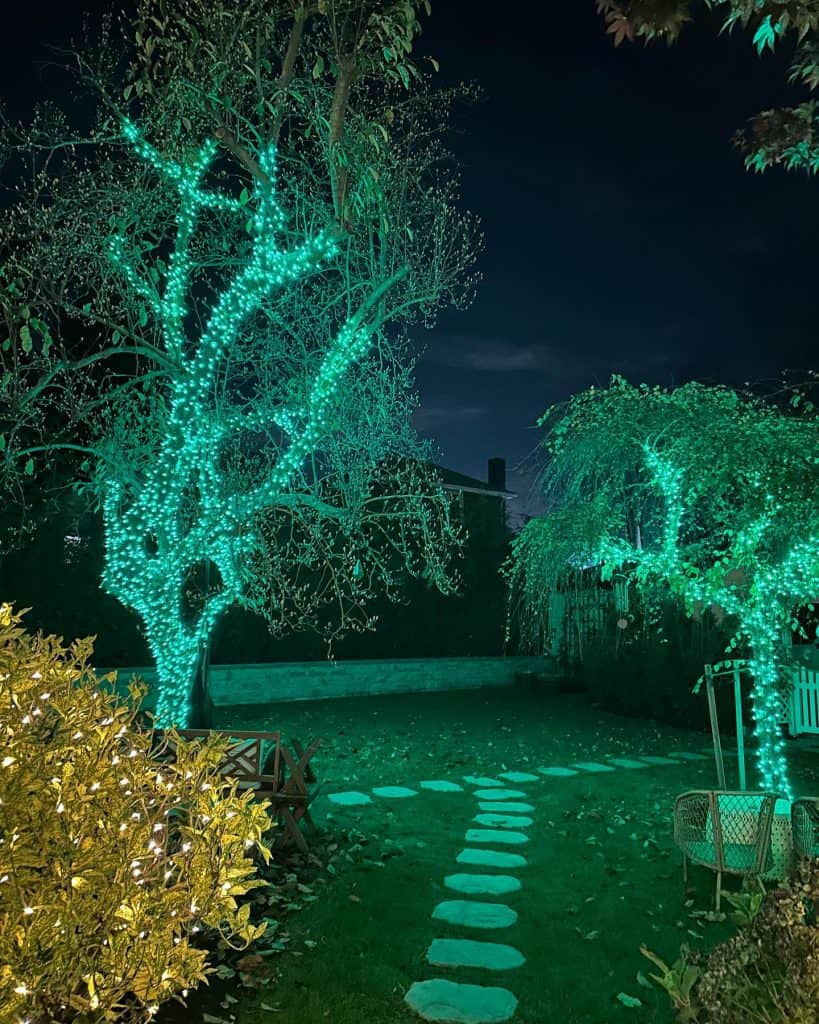 outdoor_christmas_lighting_ideas_3