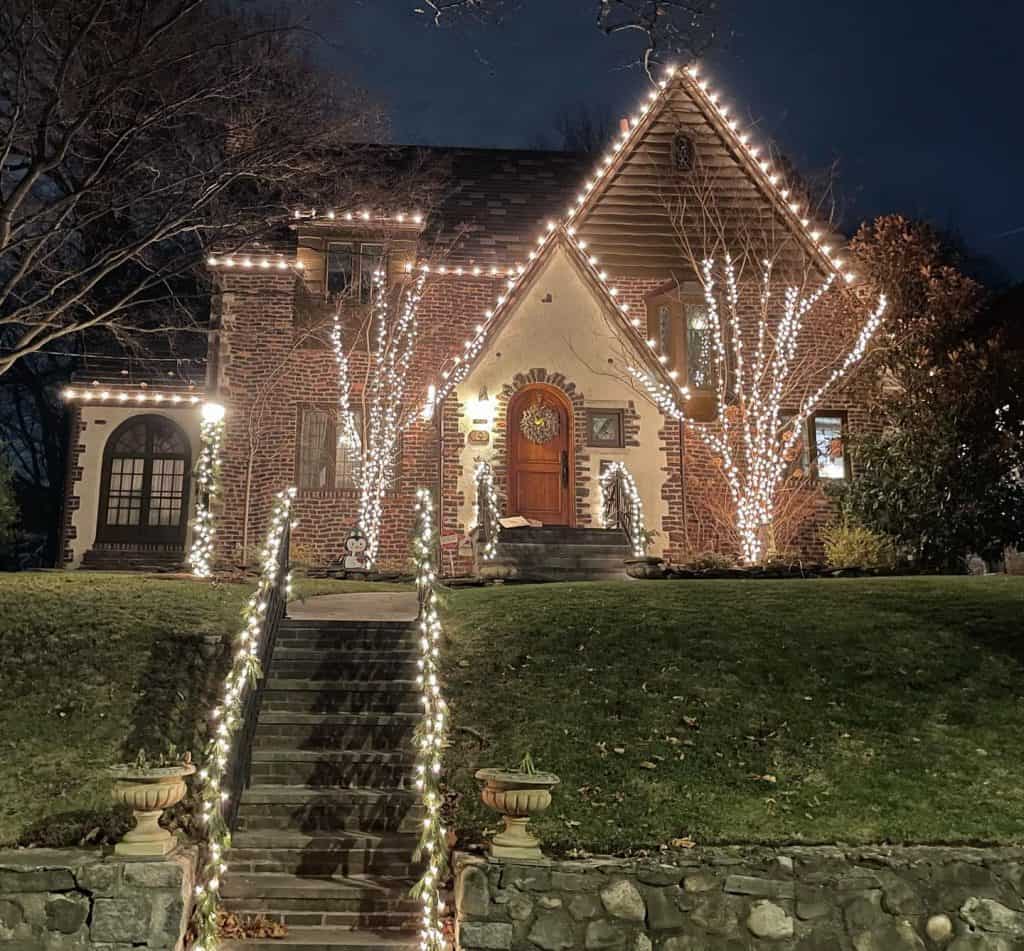 outdoor_christmas_tree_lighting_ideas_3