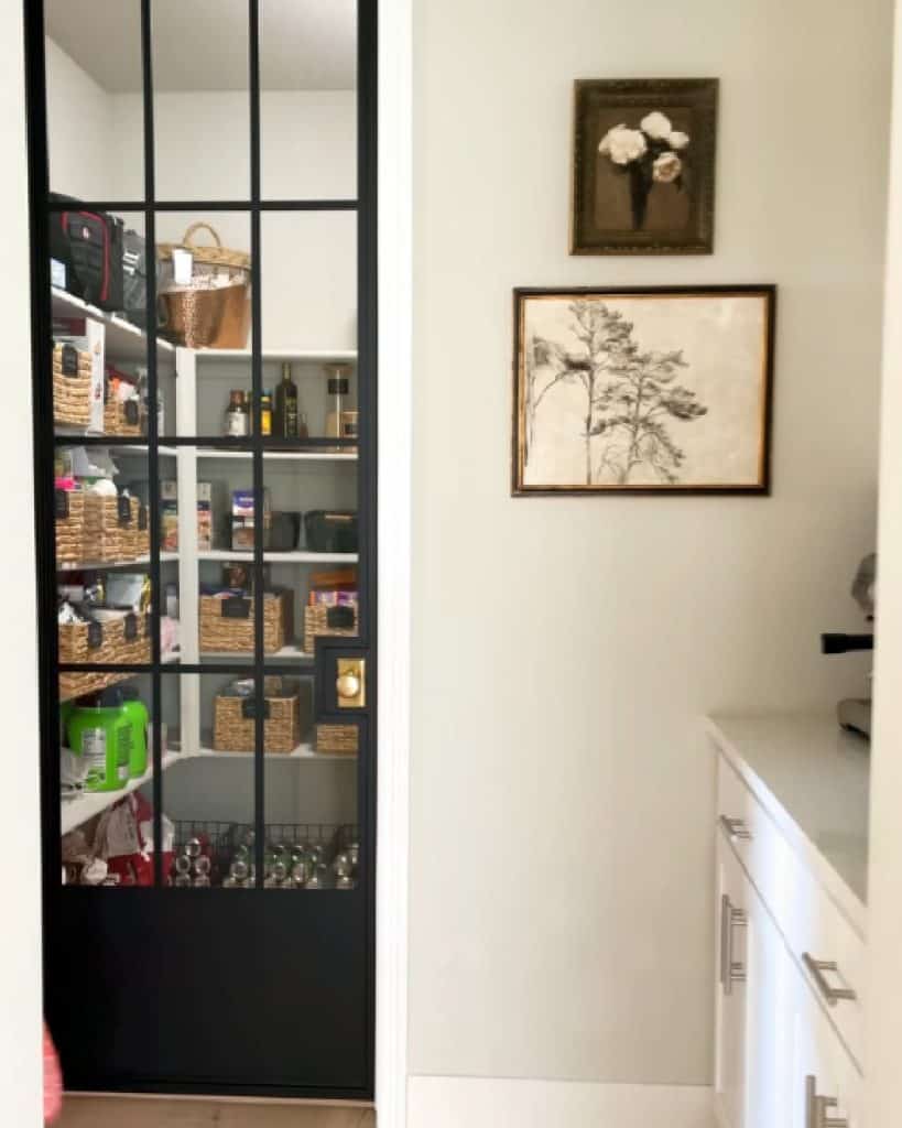 pantry_doors_with_glass_frosted_4