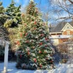 green snowy christmas tree