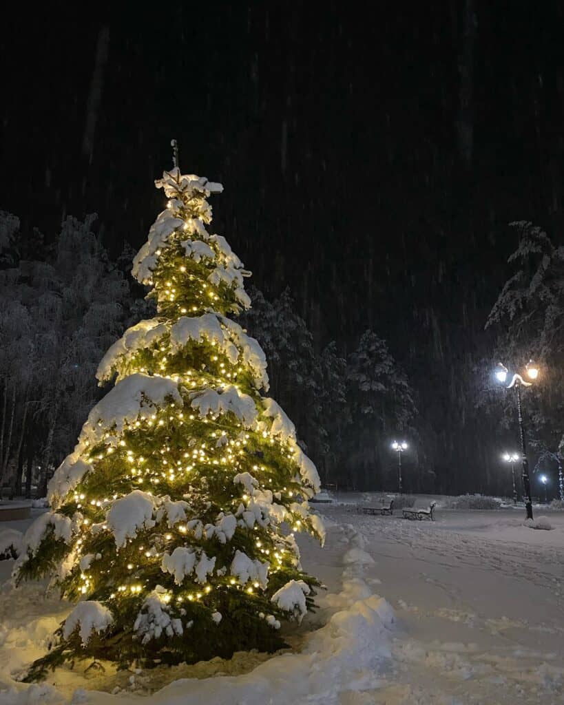 Festive_Glow_A_Snowy_Christmas_Tree_Shi_6