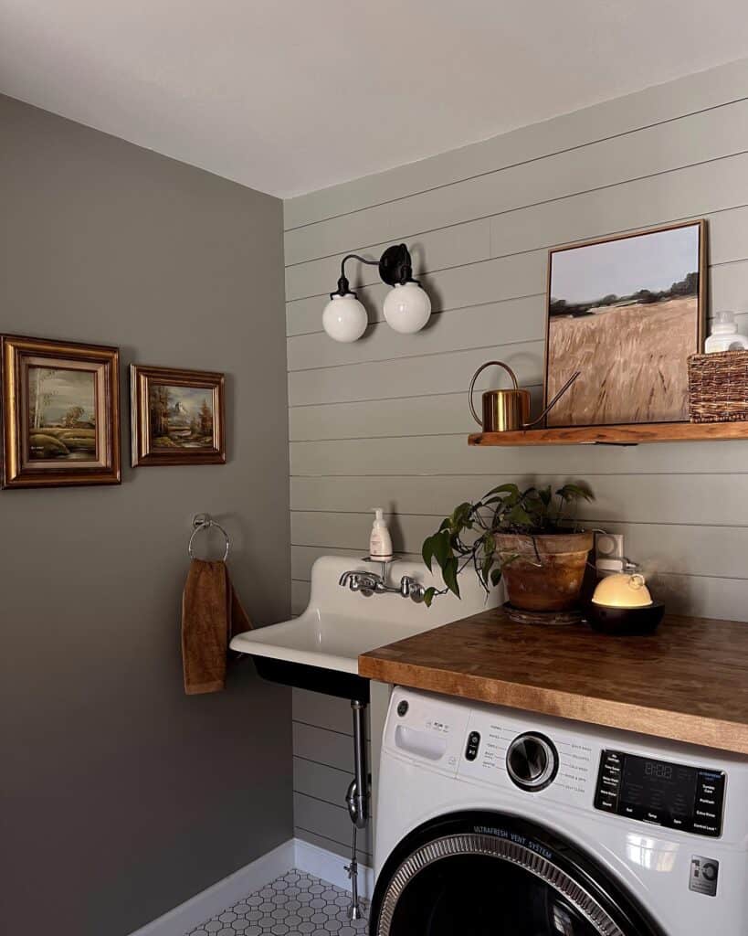 Small_Laundry_Room_With_a_Rustic_Wood_Fo_3