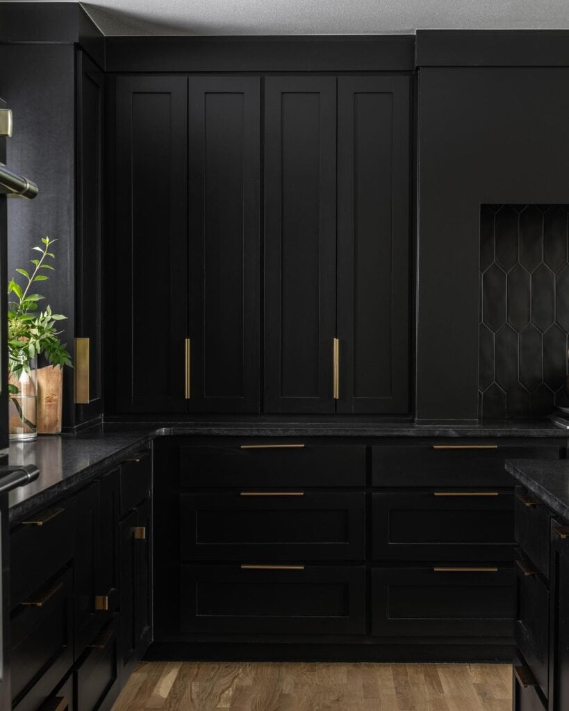 Black_Modern_Cabinetry_and_Stylish_Black_1