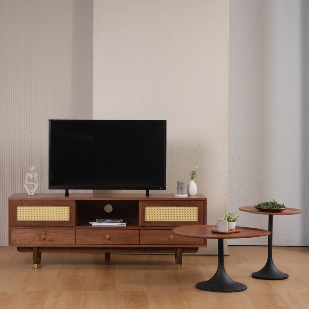 Elegant_Mid_Century_Modern_TV_Stand_with_3