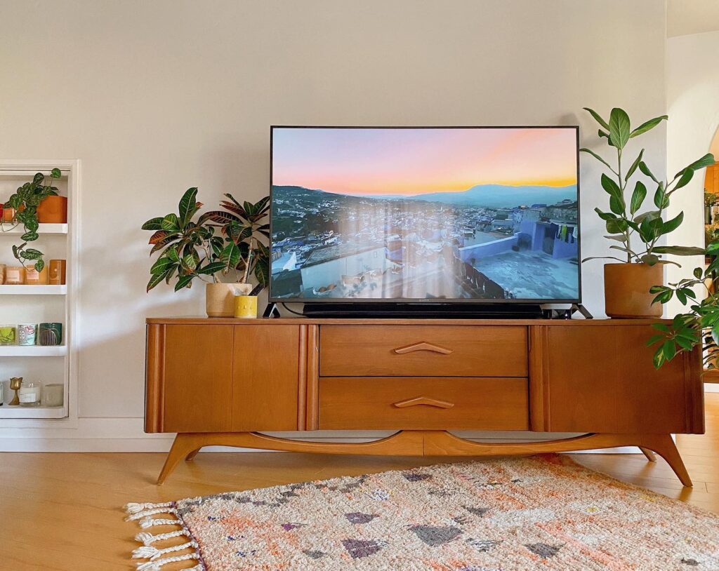 Potted_Plants_Flanking_a_TV_on_a_Wood_TV_3